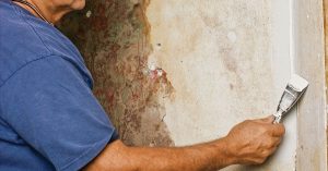 house painters Dandenong