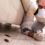 cockroach control Rowville