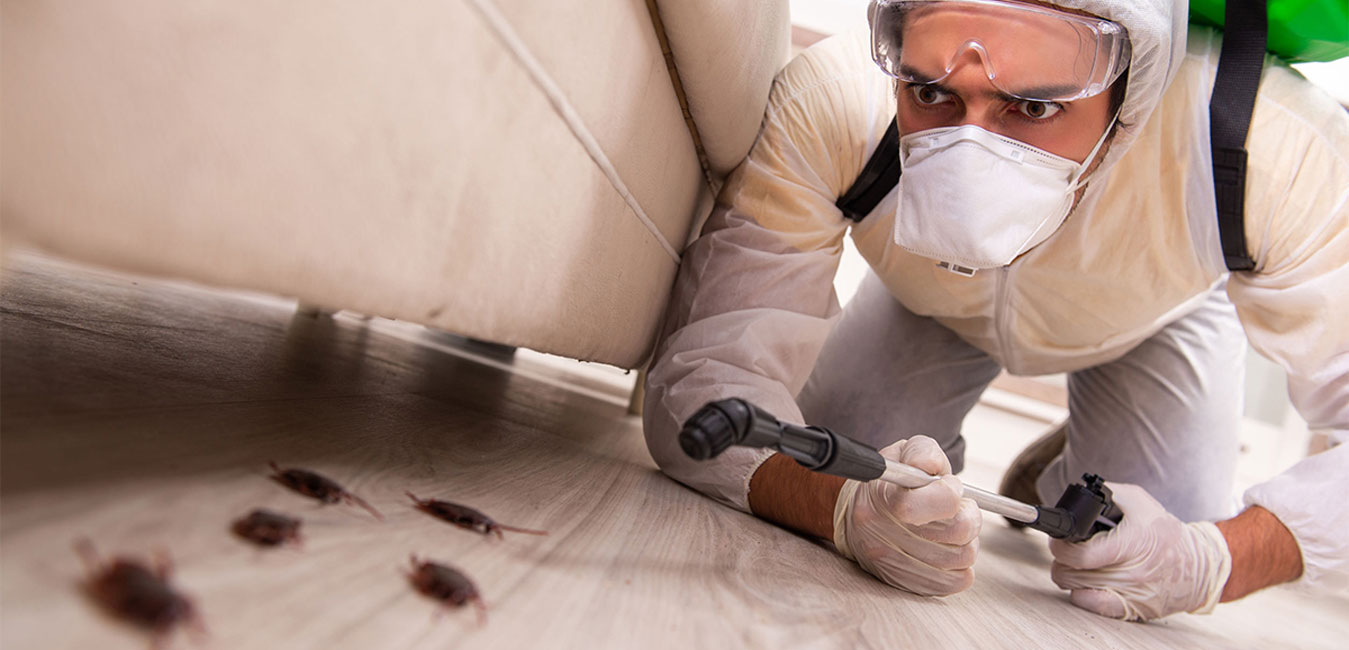 cockroach control Rowville